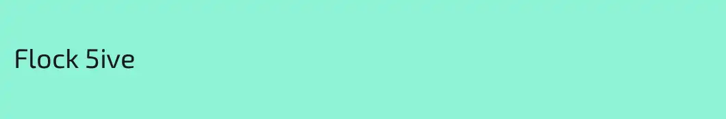Flock 5ive